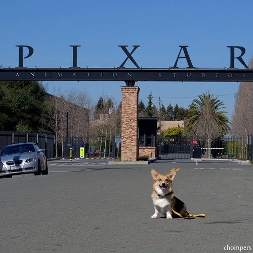 Como o processo criativo da Pixar vai ajudar você a produzir um conteúdo mais inovador